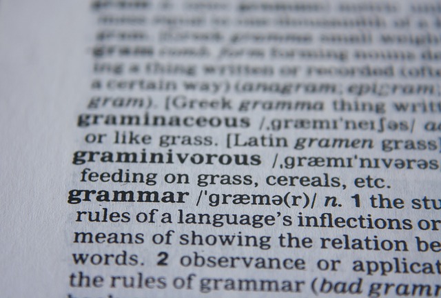 Singular and Plural Nouns, beginning of your Grammar