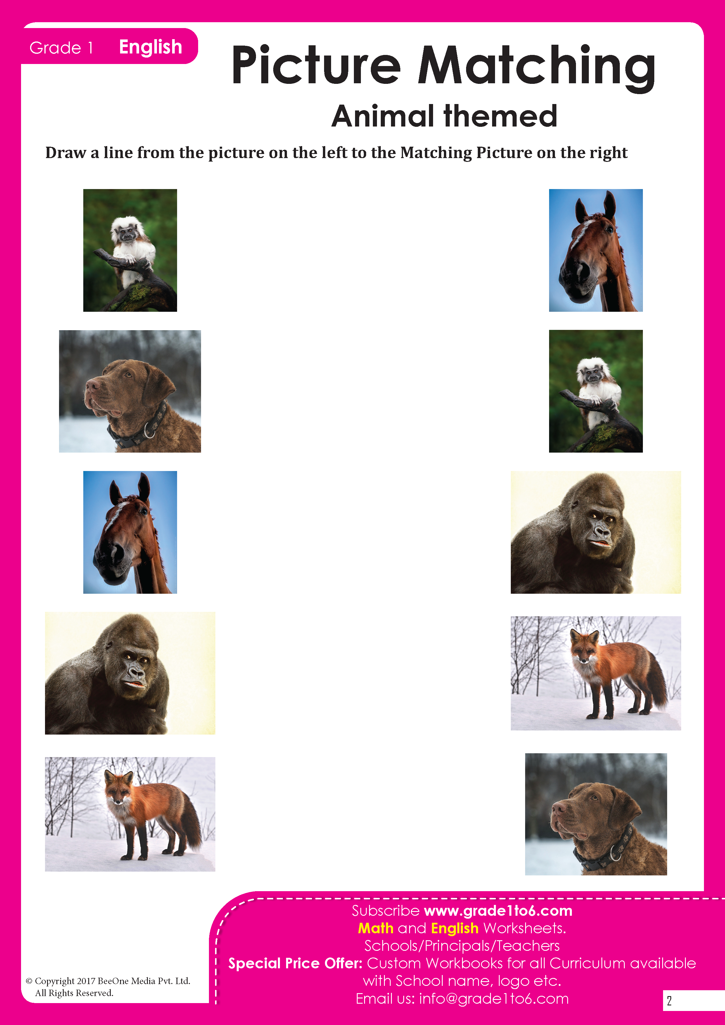 Picture Matching Animals