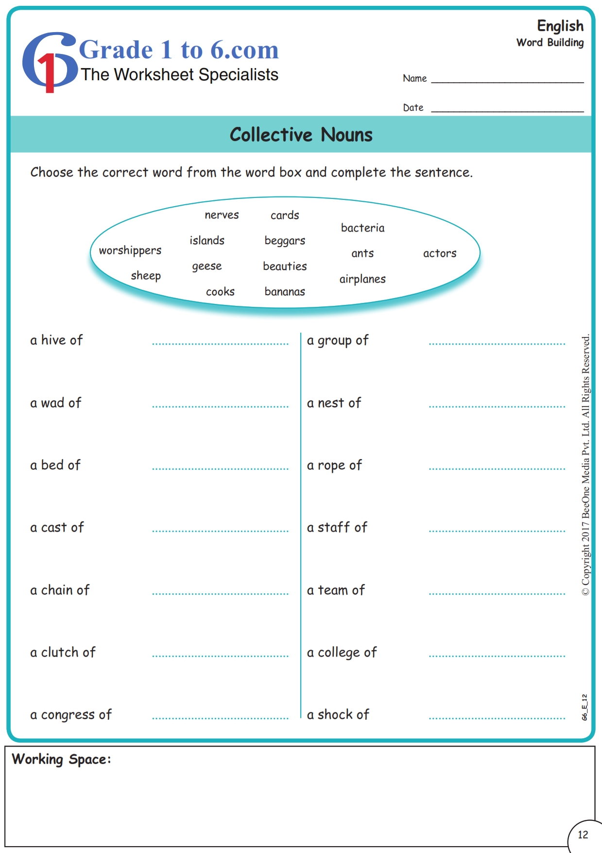 collective nouns exercises and worksheet grade 6