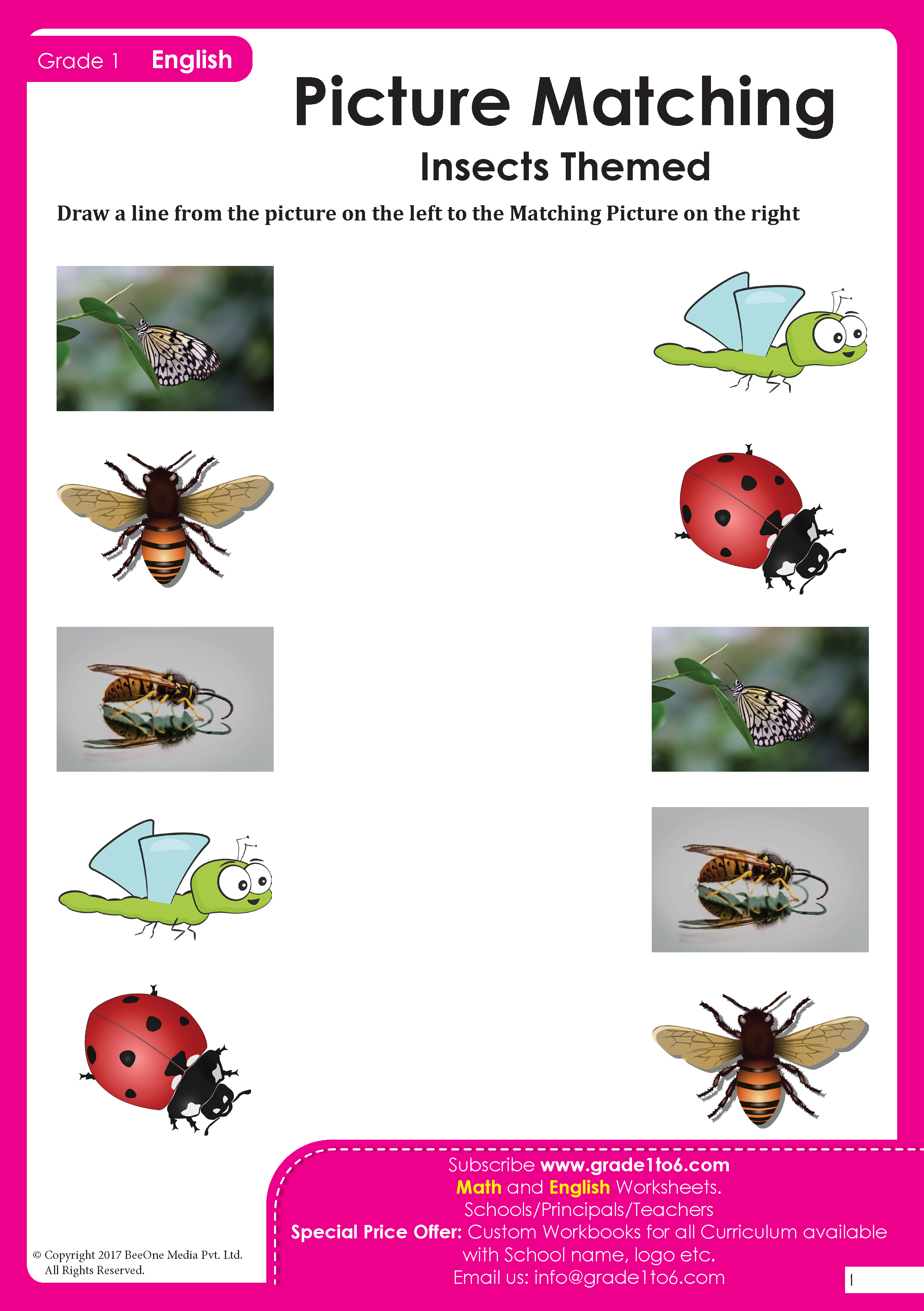 Picture Matching Exercise